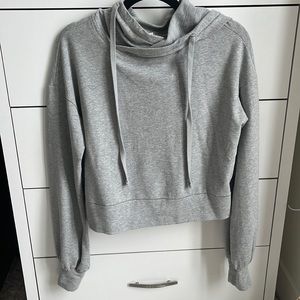 Alo Hoodie (Gray)
